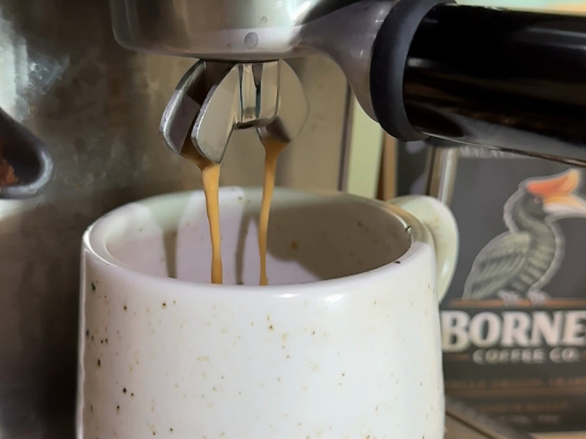 Borneo Medium Roast